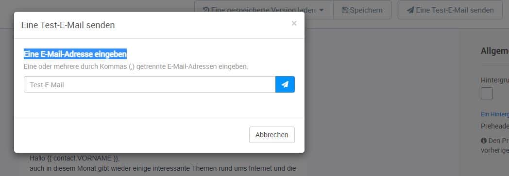 Eingabemaske Testmail verschicken um die Personalisierung mit Sendinblue zu testen